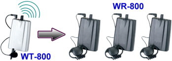 TOURGUIDE 1   350 X